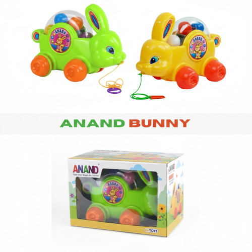 ANAND BUNNY